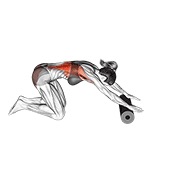 ท่า Roller Back Stretch