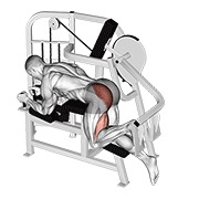 ท่า Lever Hip Extension V. 2