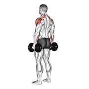 ท่า Dumbbell Rear Delt Raise