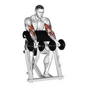 ท่า Dumbbell Zottman Preacher Curl