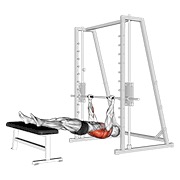 ท่า Inverted Row On Bench