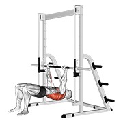 ท่า Inverted Row Bent Knees