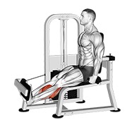 ท่า Lever Rotary Calf