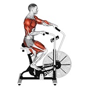 ท่า Cycle Cross Trainer