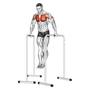 ท่า Wide-grip Chest Dip On High Parallel Bars