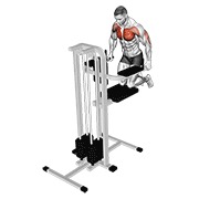 ท่า Assisted Wide-grip Chest Dip (kneeling)