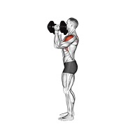 ท่า Dumbbell Scott Press