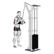 ท่า Cable Triceps Pushdown (v-bar) (with Arm Blaster)