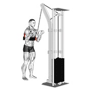 ท่า Cable Reverse Grip Triceps Pushdown (sz-bar) (with Arm Blaster)