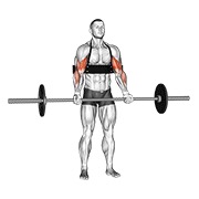 ท่า Barbell Biceps Curl (with Arm Blaster)