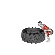 ท่า Tire Flip
