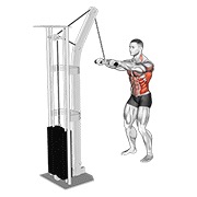 ท่า Cable Thibaudeau Kayak Row
