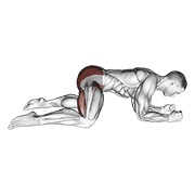 ท่า Rocking Frog Stretch