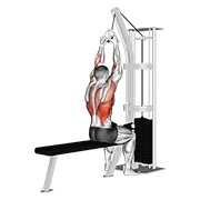 ท่า Cable Lateral Pulldown With V-bar