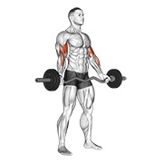 ท่า Ez-barbell Standing Wide Grip Biceps Curl