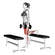 ท่า Dumbbell Step-up Lunge