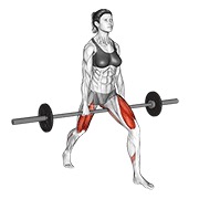 ท่า Barbell Split Squat V. 2