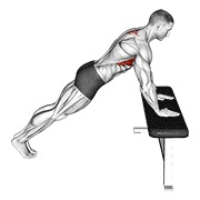 ท่า Incline Scapula Push Up