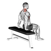 ท่า Scapula Dips