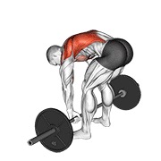 ท่า Barbell Pendlay Row
