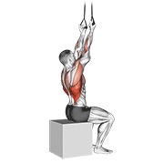 ท่า Band Fixed Back Underhand Pulldown