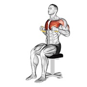 ท่า Resistance Band Seated Chest Press