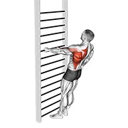ท่า Bodyweight Standing One Arm Row