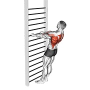 ท่า Bodyweight Standing Row