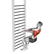 ท่า Bodyweight Squatting Row (with Towel)