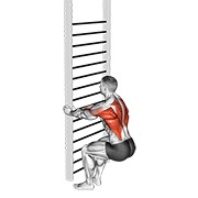 ท่า Bodyweight Squatting Row
