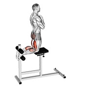 ท่า Glute-ham Raise