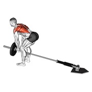 ท่า Lever Bent-over Row With V-bar