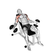 ท่า Hyght Dumbbell Fly