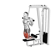 ท่า Cable Assisted Inverse Leg Curl