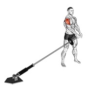 ท่า Landmine Lateral Raise