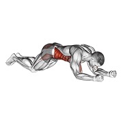 ท่า Kneeling Plank Tap Shoulder (male)