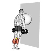 ท่า Exercise Ball On The Wall Calf Raise (tennis Ball Between Knees)