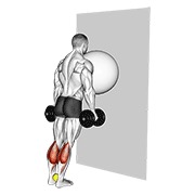 ท่า Exercise Ball On The Wall Calf Raise (tennis Ball Between Ankles)