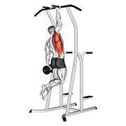 ท่า Weighted One Hand Pull Up