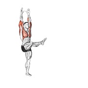 ท่า Handstand