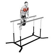 ท่า Weighted Straight Bar Dip