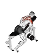 ท่า Dumbbell Incline Y-raise