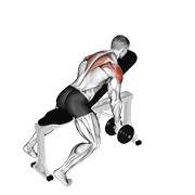 ท่า Dumbbell Incline T-raise