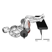 ท่า Barbell Glute Bridge Two Legs On Bench (male)
