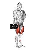 ท่า Dumbbell Contralateral Forward Lunge