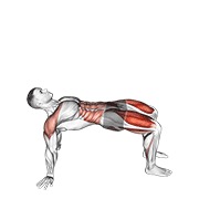 ท่า Reverse Plank With Leg Lift