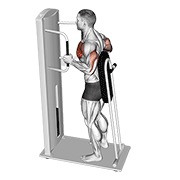 ท่า Lever Standing Chest Press