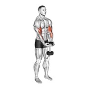 ท่า Dumbbell Waiter Biceps Curl