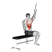 ภาพเคลื่อนไหวสาธิตท่า Alternate Lateral Pulldown เน้นกล้ามเนื้อปีกหลัง (แลตส์)