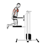 ภาพเคลื่อนไหวสาธิตท่า Assisted Chest Dip (kneeling) เน้นกล้ามเนื้อกล้ามเนื้อหน้าอก